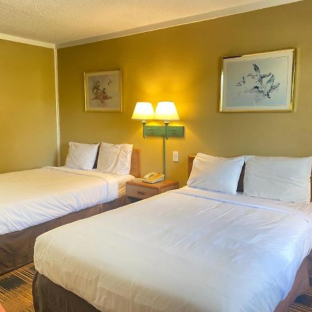 Smokies Inn - New Linens & Ultrafast Wifi - Friendliest Hospitality Guaranteed! Kodak Eksteriør billede